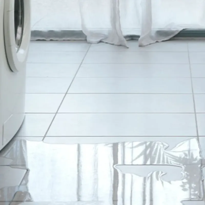 Appliance Leak Cleanup in Chapman, KS