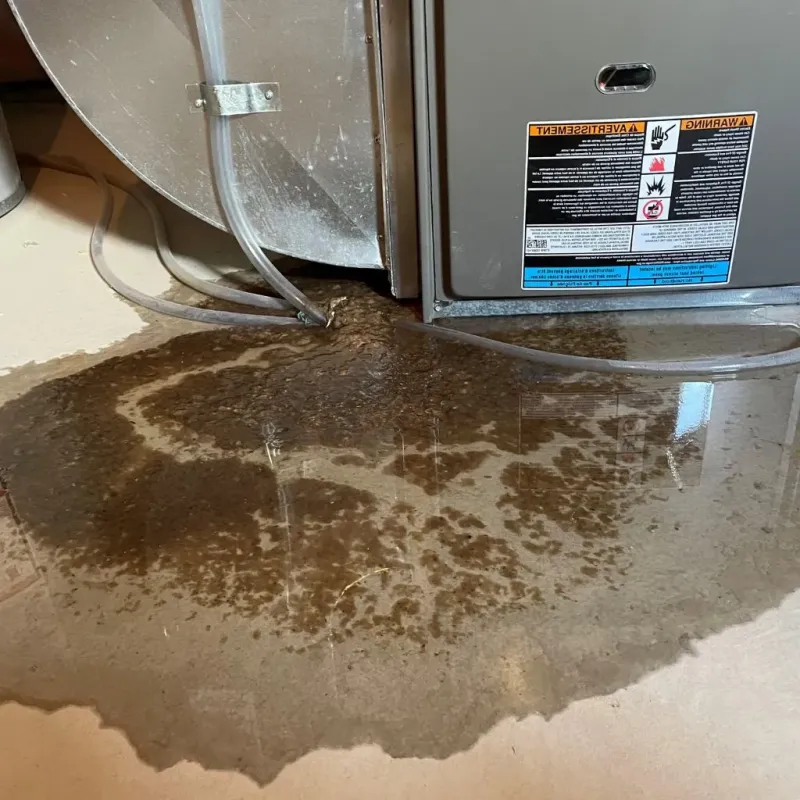 Pipe Burst and Leak Restoration in Chapman, KS