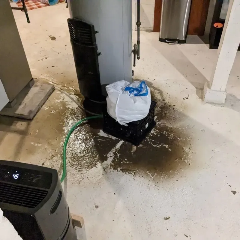 Sewage Backup Cleanup Service in Chapman, KS